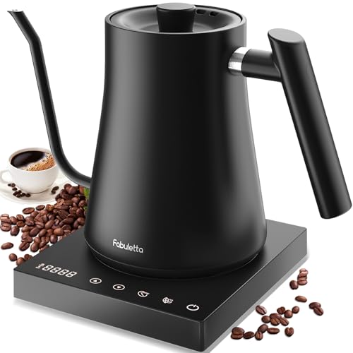 FABULETTA Gooseneck Electric Kettle