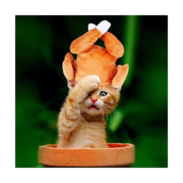 Thanksgiving turkey drumstick hat for cat, pet halloween thanksgiving turkey costumes dog cat ornament - image 5