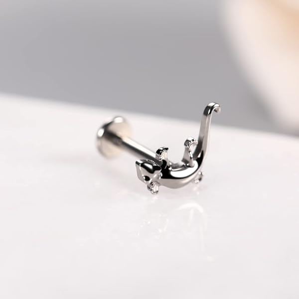 hengkaixuan 16G G23 Titan Flat Back Labret Studs Innengewinde Lippen Studs Tragus Piercing Monroe Medusa Lippenpiercing Silber Lobe Knorpel Conch Ohrring Schmuck 6 8 10 mm - 5