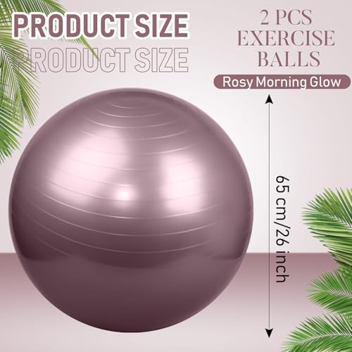 Image of Leyndo 2 Pcs Exercise Ball Yoga Ball with Pump 26 Inches / 65 cm for Workout Pregnancy Stability Anti Burst Birthing Fitness Improved Posture, Balance, Yoga, Pilates, Training