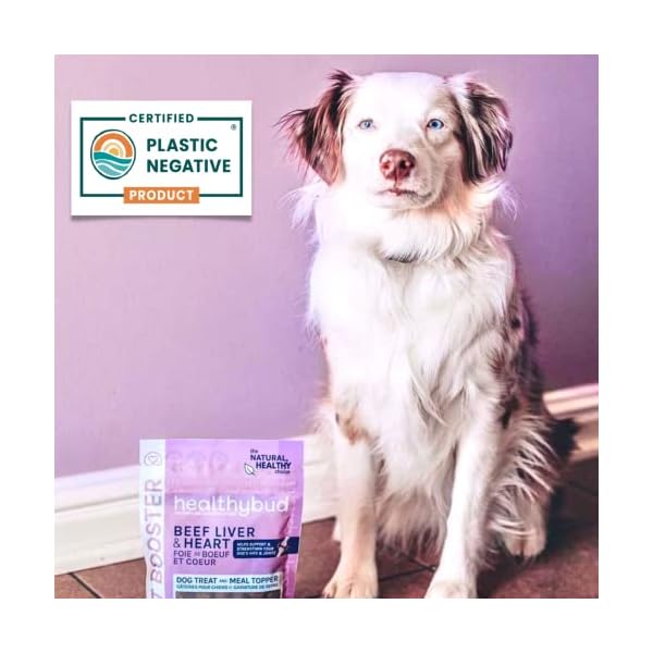 healthybud Beef Liver Treats for Dogs, Hip and Joint Supplement Training Dog Chews with Glucosamine, Chondroitin, Green Lipped Mussel, Omega-3, Natural Healthy Food Topper for Puppies (4.6 oz) healthybud Beef Liver Treats for Dogs, Hip and Joint Supplement Training Dog Chews with Glucosamine, Chondroitin, Green Lipped Mussel, Omega-3, Natural Healthy Food Topper for Puppies (4.6 oz)