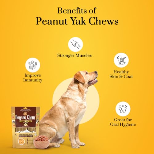 Image of Dogsee Peanut Butter Infused 100% Natural Yak Chew Bones for Dogs 140 gm (Medium - 2 Chews) Healthy Alternative to Rawhide - High Protein, All Life Stages