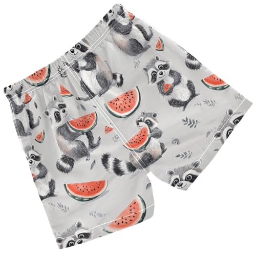 Pigsaly Boys' Swim Board Shorts Watermelon Cute Grey White Raccoon Boy's Swim Trunks Kids Swimwear 2T2