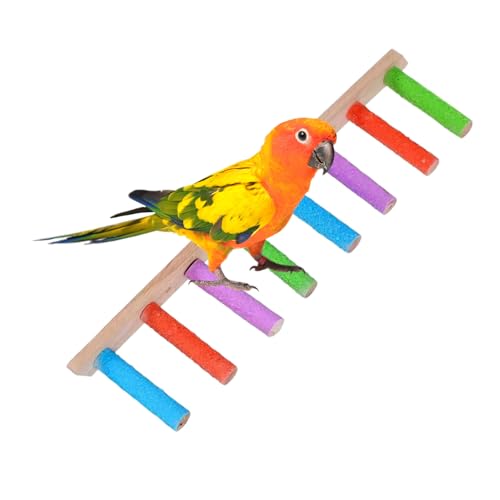 P[Wpo[h_[,ؐXCOp͂ - @\߂Ƃ c[ C^NeBu P[W ANZT[ RL[g RSECR uo[h 