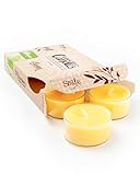 Wild Lemongrass Premium Tealight Candles - 6 Yellow Highly Scented Tea Lights - Beautiful Candlelight - Made in The USA - Fresh & Clean Collection