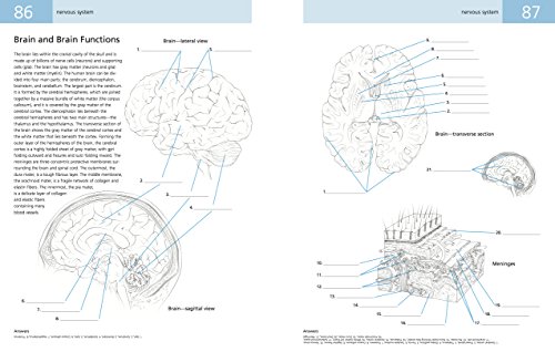The Anatomy Student's Self-Test Colouring Book