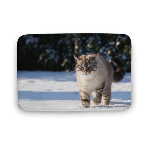 L   oX}bg   z փ}bg  O   \ ~ Aj LN^[ @}bg   ʏ