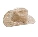 Weaver Western Hat Cover