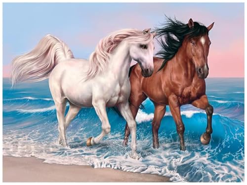 Image of Jasol Diamond Painting Kit, 40x30 Cms, Full Drill, 5D Crystals, Home Wall Decor Gift Set (Sea Horse J40058)