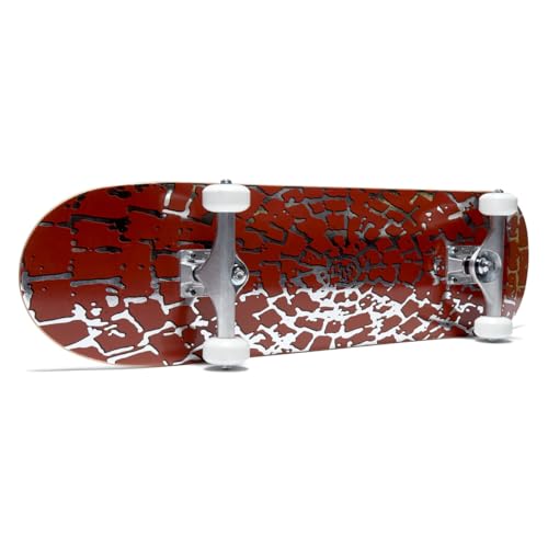 Image of [CCS] Skateboard Complete | Maple Wood | Professional Grade | Fully Assembled with Skate Tool & Stickers | Adults, Kids, Teens, Youth | Boys & Girls