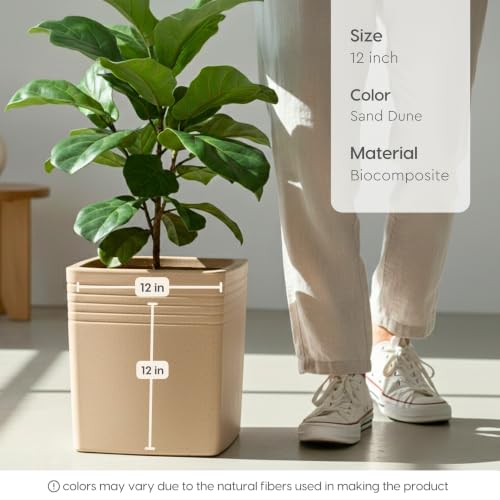 Image of Eha Earth Friendly Portico Big Planters for Home Decor | 12 inch, Pack of 1 | Heavy Duty Plant Pot Made with Rice Husk & Bamboo Biocomposite | UV Protected Pot for Plant | Pots & Planters Big Size