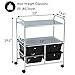 Giantex Rolling Storage Cart w/ 4 Drawers 2 Shelves Metal Rack Shelf Home Office School Beauty Salon Utility Organizer Cart with Wheels (Black)