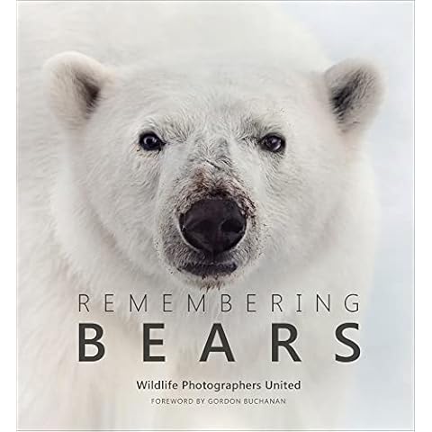 Remembering Bears Cover