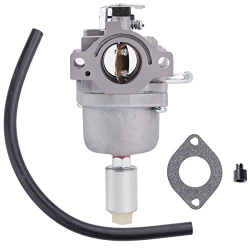 Hipa 594593 Carburetor for 591731 796109