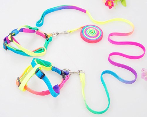 Yueton Dog Pet Puppy Cat Kitty Adjustable Nylon Leash Rainbow Dog Chest Straps Chain Seven Color Traction Thoracic Dorsal Suits Dog Rope Dog's Leash Chain #TOP5