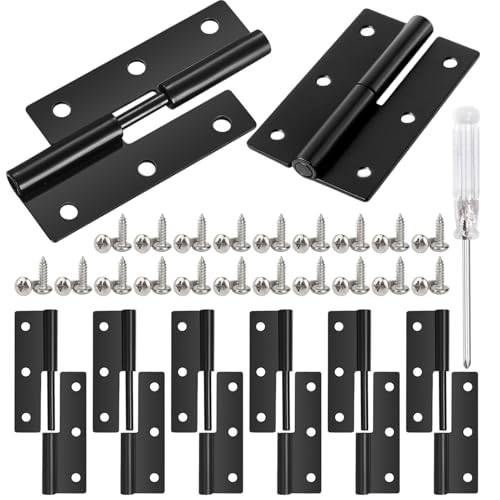 41 Pièces Charnière Plate Set Charnières Amovibles en Fer Petite Charniere Noires 62x37x1.5MM...
