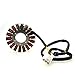 MZS 21-118 Electric Stator Compatible with CBR1000RR SC57 2004 2005 2006 2007
