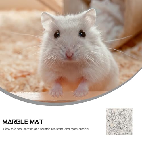 Cojín refrescante para mascotas pequeñas con absorción de calor 4
