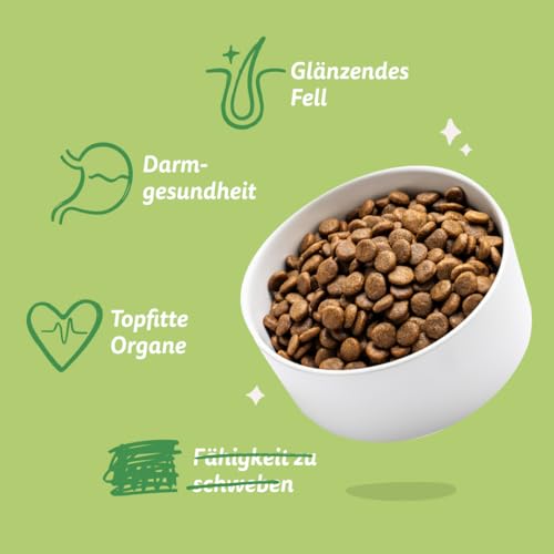 Edgard & Cooper Hundefutter, Trockenfutter für Hunde, (Lamm, 2.5kg), Getreidefrei, natürliche Zutaten und frisches Fleisch, voller essentieller Aminosäuren