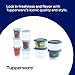 Tupperware Super Snack 10 Container Food Storage Set, Dishwasher Safe and BPA Free (10 Containers, 10 Lids)