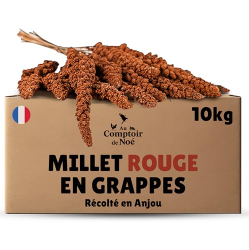 Au Comptoir de Noé Millet Rouge en Grappes 10kg, Alimentation pour Oiseaux, Récolté en France en...