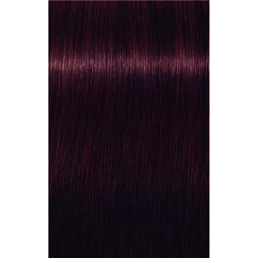 Schwarzkopf Igora Royal 60ml 4-99 6er Pack (6x60ml)