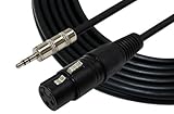 GLS Audio 6ft Cable 1/8