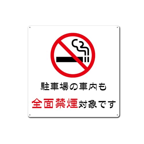 ySʋ։zԏ̎ԓSʋ։ΏۂłAv[gŔ UJo O` \ W Ŕ