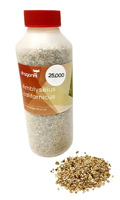 Dragonfli Spider Mite Killer - Amblyseius californicus - Predators In Loose Carrier Material (25000)