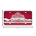 Rico Industries NCAA Ohio State Buckeyes 2025 National College Football Champions Metal Auto Tag 6