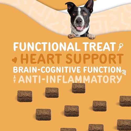 waggedy Omega Max Chews for Dogs with Salmon Oil & Flaxseed — Dog Essentials for Shiny Coats & Healthy Skin — Cat and Dog Supplements & Vitamins (60 Chews) waggedy Omega Max Chews for Dogs with Salmon Oil & Flaxseed — Dog Essentials for Shiny Coats & Healthy Skin — Cat and Dog Supplements & Vitamins (60 Chews)