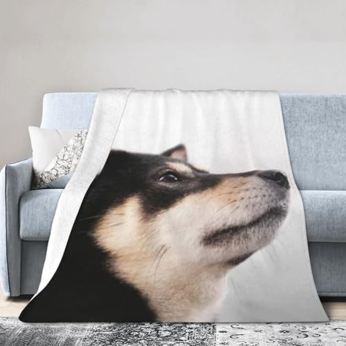 Mineye ѕz VOČ     zCg  H~p RpNg [₷  ӂ єȂ I[V[Y ÓdCh~ RۖhL 􂦂 y _炩 tln v[g H~ 40"X30"