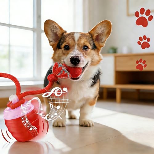 Jouet électrique pour chien rechargeable haute performance et effets sonores