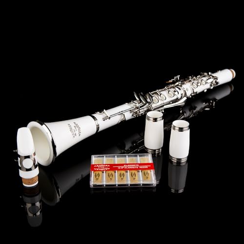 Image of Glory GLYCLAWH Professional Ebonite Bb Clarinet with 10 Reeds, Stand, Hard Case, Cleaning Cloth, Mouthpiece Brush and Pad Brush,White /Silver
