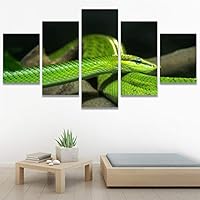 SIGNWIN 5 Panel Canvas Wall Art Modern Art Chic Expressive Frog Multicolor Photography Reptiles Snakes for Home Decorations Ready to Hang - 60