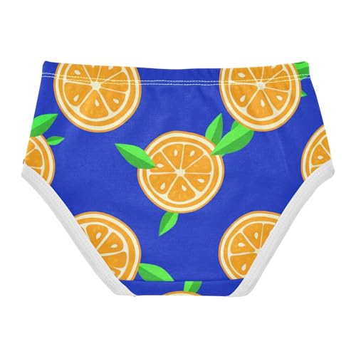Orange Slice Dark Blue Toddler Underwear Custom 2t Cotton Girl Panties Cute Designer Briefs Underpants2