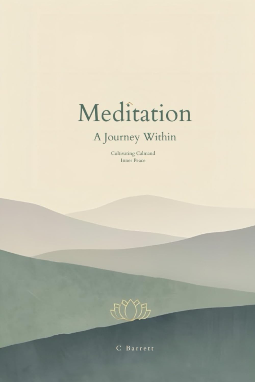 Meditation A Journey Within: Meditation