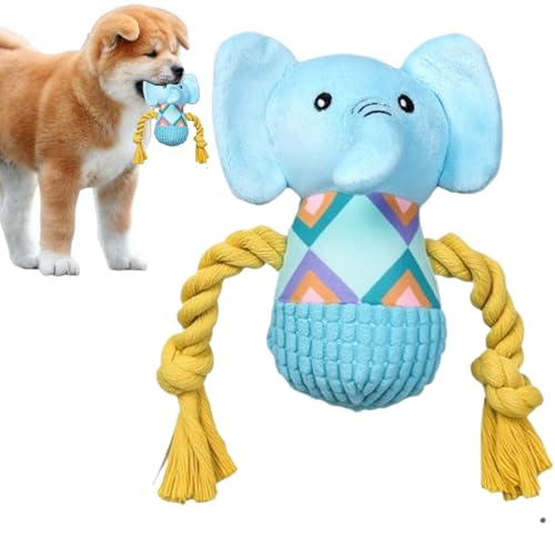 p ]E ʂ, 炩]Êʂ݃I`, C^NeBu  l` pi  s AEghA p TvC