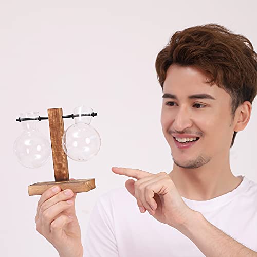 Zunbo - Vaso sospeso idroponico con supporto in