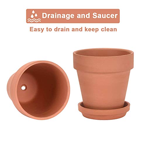 Vensovo 8 Inch Clay Pot For Plant With Saucer thumb #5