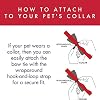 Huxley & Kent Pet Bow Tie for Dogs & Cats - Valentine's Day Adjustable Hook & Loop Collar Accessory - Cute & Comfortable for Holidays & Celebrations - Kisses, Extra Large #5