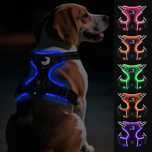 Joytale Light Up Dog Harness, No Pull Dog Harness USB Rechargeable for Night Walking with 3 Lightning Modes and Soft Handle, Adjustable Reflective Lighted Safety Vest,Black-Blue,M