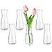 Glasseam Kleine Vasen für Tischdeko, Deko Vase Glas Klar Blumenvase Modern Glasvase Klein 6 Stück, Minimalistische Blumenvasen Set für Wohnzimmer Hochzeit Party Esstisch Tafelaufsatz Dekovase