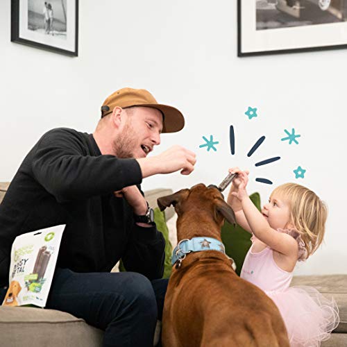 Edgard Cooper Leckerli für Hunde, (Eukalyptus & Apfel, 7 Sticks x 8), groß, Einer pro Tag, kalorienarm, langes, effizientes Kauen, frischer Atem