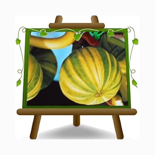 EURO PLANTS VIVAI Figuier Panascè plante fruitière ancienne en pot 24/26 cm maximale 180 cm - Âge 4 ans