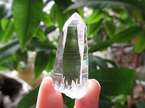 Amazon.co.jp: コロンビア産 レムリアンシードクリスタル 水晶 原石