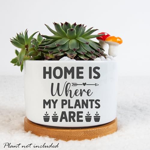 WengBeauty Home is Where My Plants are, Lady Plant Pot, Funny ...