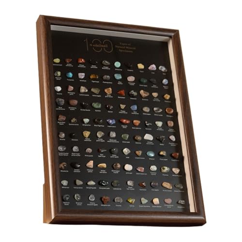 Colección de cristales para niños, 23 x 32 x 3 cm, decoración de exhibición de exploración de 100 rocas | Caja de gemas de colección de cristal | Para entusiastas estudiantes, principiantes