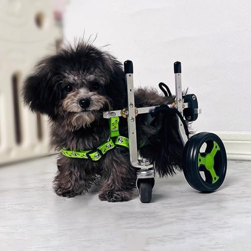 Cochecito para perros con patas de apoyo y silla de ruedas XS para paseos