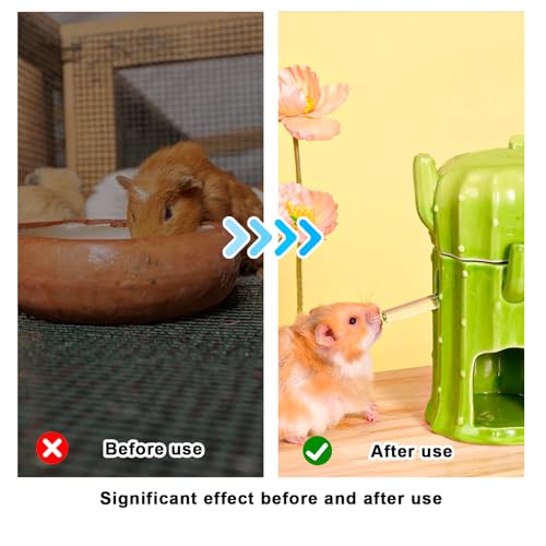 Borraccia per Criceti, Beverino Coniglio